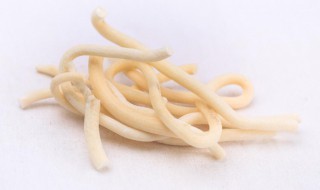 通草需要煮多久 通草一般需要煮多长时间呢