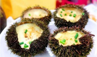 海胆球煮多久才能吃了 海胆球煮多长时间才能吃了