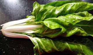 牛皮菜煮软要多久才能吃 煮好牛皮菜的时间