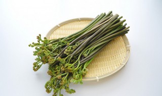 山蕨菜要煮多久熟了才能吃 山蕨菜要煮多长时间呢