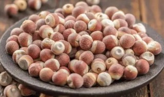 生芡实要煮多久才能吃 生芡实要煮多久才可以吃