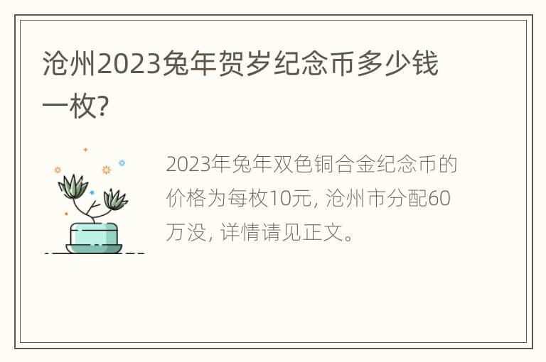 沧州2023兔年贺岁纪念币多少钱一枚?