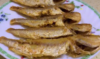 金线鱼要煮多久才能吃 金线鱼要煮几分钟才能吃