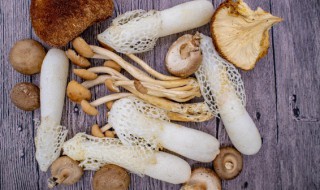 茶树菇怎么煮多久才能吃 茶树菇煮多长时间才能吃