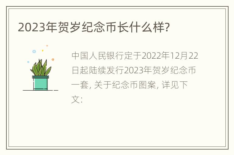 2023年贺岁纪念币长什么样？