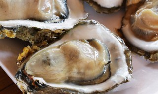 蒸煮牡蛎要多久熟化完才能吃 蒸煮牡蛎要多长时间才能吃
