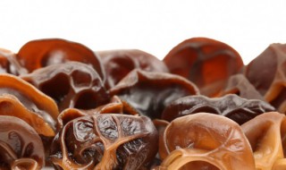 木耳要煮多久才能吃 木耳要煮几分钟才能吃