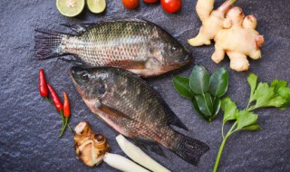 鱼大概煮多久才能吃 鱼大概煮多久才可以吃