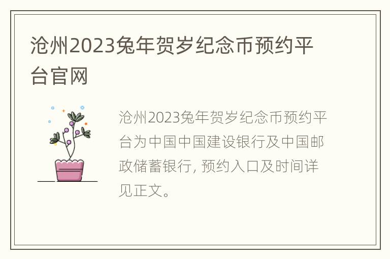 沧州2023兔年贺岁纪念币预约平台官网