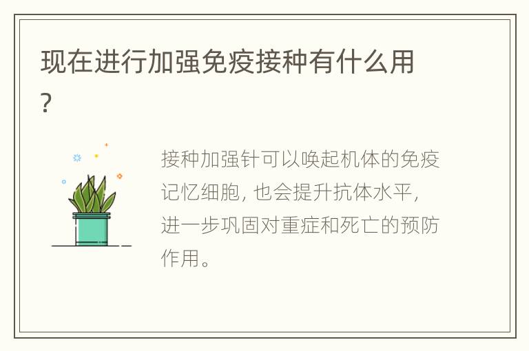 现在进行加强免疫接种有什么用？