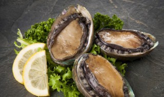 鲍鱼煮多久酥软一点才能吃 鲍鱼煮多久比较好吃