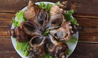 带壳海螺要煮多久才能吃 带壳海螺要煮多久才可以吃