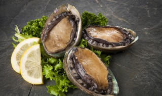 袋装鲍鱼煮多久才能吃 鲍鱼要煮多久才会熟