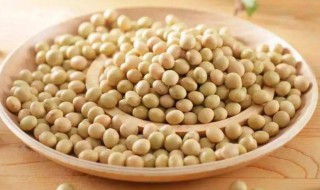 豆子要煮多久才能吃 豆子要煮多久才可以吃