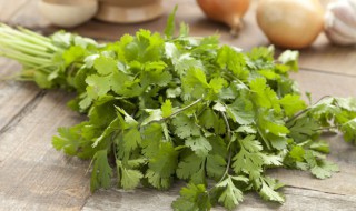 凉拌香菜丝怎么炒好吃 如何做凉拌香菜