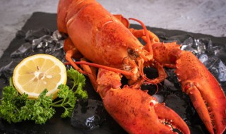 龙虾要煮多久起锅呢才能吃 龙虾要煮多长时间起锅呢才能吃