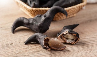 菱角煮完后怎么保存不发霉 菱角煮完后如何保存不发霉