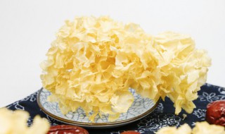 银耳煮多久出胶 银耳怎么煮才能出胶