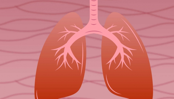 如何预防白肺