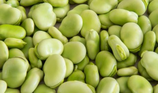 蚕芽油炒蚕豆怎么炒好吃 芽菜炒蚕豆的做法与步骤