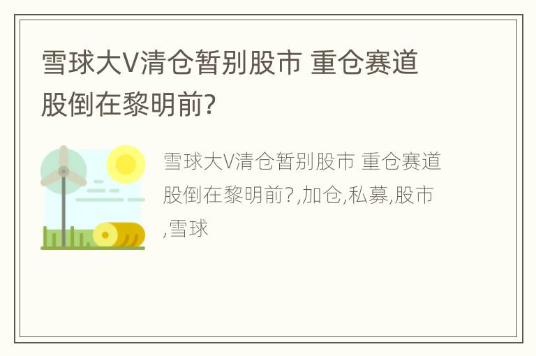 雪球大V清仓暂别股市 重仓赛道股倒在黎明前？