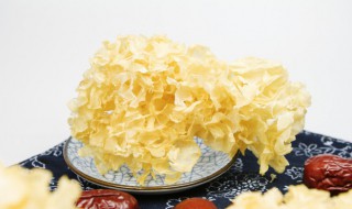银耳汤炖多久会熟呢 银耳煮汤要煮多久