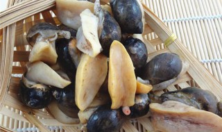 鲍螺要煮多久才能吃 煮熟鲍螺的时间