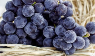 新鲜葡萄煮水怎么做 新鲜葡萄煮水如何制作呢