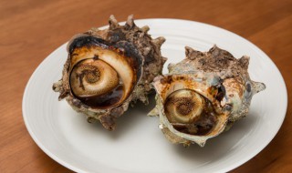 小螺要煮多久才能吃 小海螺煮多久