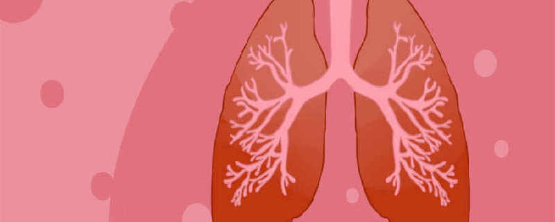 如何预防白肺