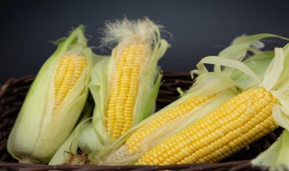 玉米塑封的需要煮多久 白玉米和黄玉米营养有什么区别？