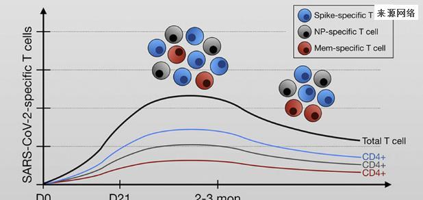 科兴三针防感染率仅8%？ 事实上与mRNA疫苗感染占比无较