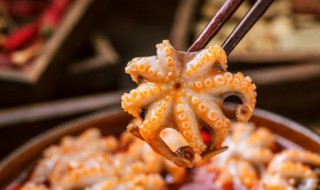 爆头煮多久 爆头八爪鱼煮多长时间