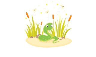 蛇蛋煮多久才能吃 蛇蛋需要煮多久才能吃呢