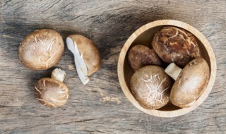 新鲜香菇怎么长期保鲜 新鲜香菇如何保鲜