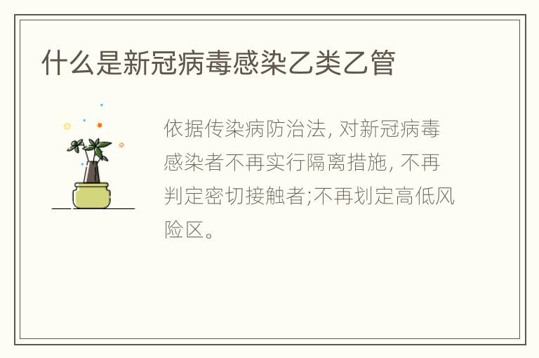 什么是新冠病毒感染乙类乙管