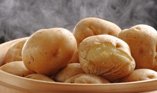 土豆需要煮多久 土豆需要煮多长时间才熟呢