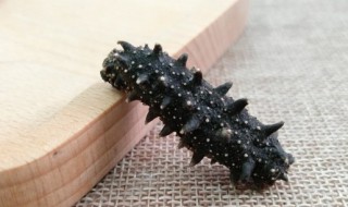 澳洲海参怎么泡发 澳洲海参如何泡发