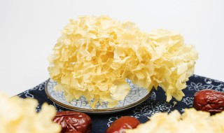 金燕耳要煮多久才能吃 金燕耳银耳羹需要煮多长时间