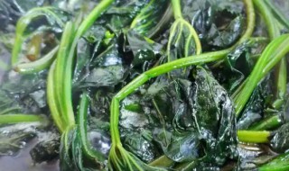 干地瓜叶子怎么做好吃 干地瓜叶子如何做好吃