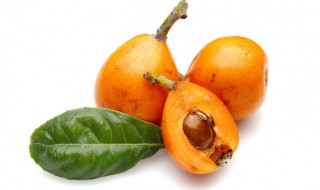 新鲜枇杷加冰糖煮水怎么做 新鲜枇杷加冰糖煮水如何制作呢