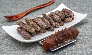 活的海参怎么晒干保存方法 活海参怎么晒干保存