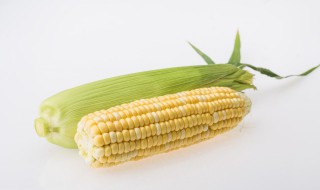 嫩玉米煮多久 嫩玉米需要煮多长时间