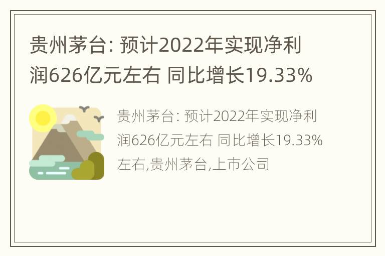 贵州茅台：预计2022年实现净利润626亿元左右 同比增长19.33%左右