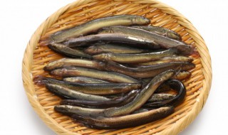 泥鳅要煮多久能吃 泥鳅要煮多长时间才能食用