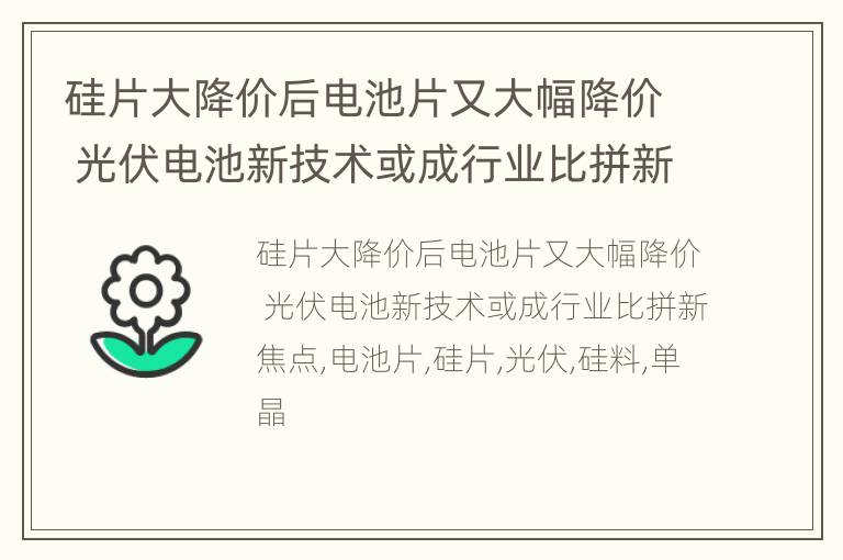 硅片大降价后电池片又大幅降价 光伏电池新技术或成行业比拼新焦点