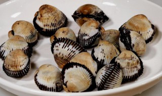 毛蚶子煮多久能吃 毛蚶子煮多长时间才能吃呢