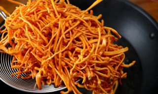 干虫草花煮多久能吃 干虫草花煮多长时间才能食用