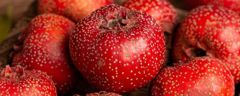 木香与山楂煮水煮多长时间