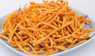 新鲜虫草花煮多久能吃 新鲜虫草花煮几分钟才能吃呢